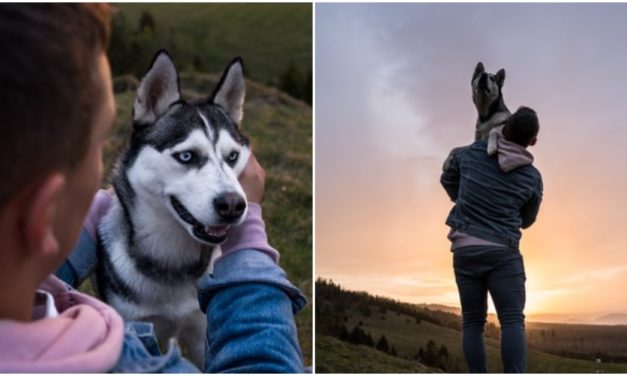Man Wants To Get His Dog Life-Saving Cancer Surgery, But His Girlfriend Doesn’t Approve