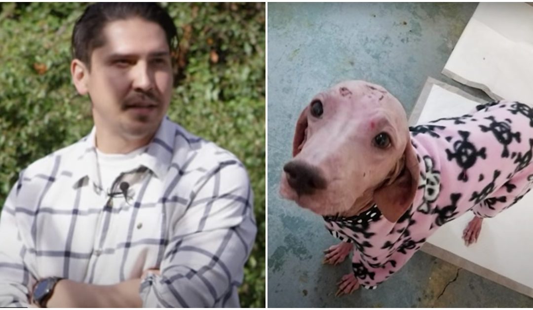 Man Saves Furless Dog While Four-Wheeling, Reunites With Her A Year Later