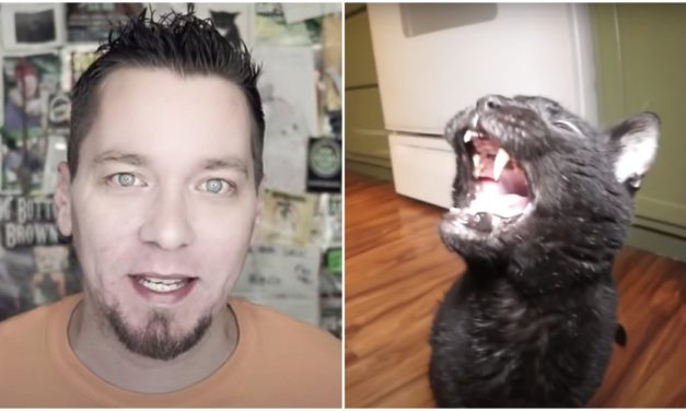 ‘Talking Kitty Cat’ YouTube Star Steve Cash Commits Suicide At 40
