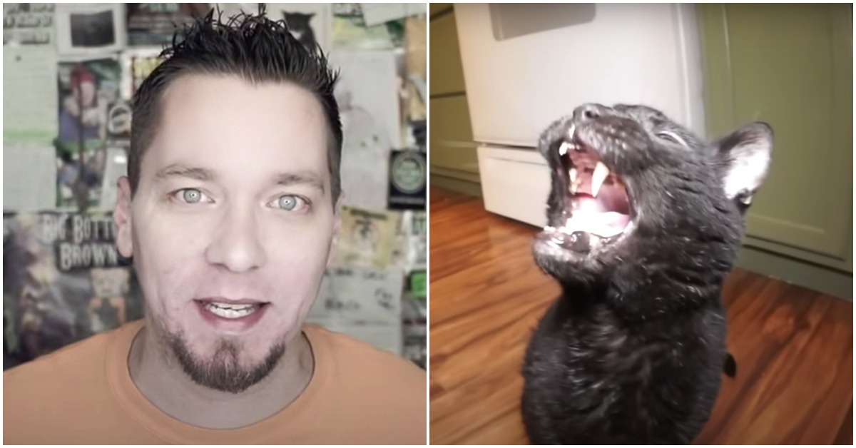 ‘Talking Kitty Cat’ YouTube Star Steve Cash Commits Suicide At 40