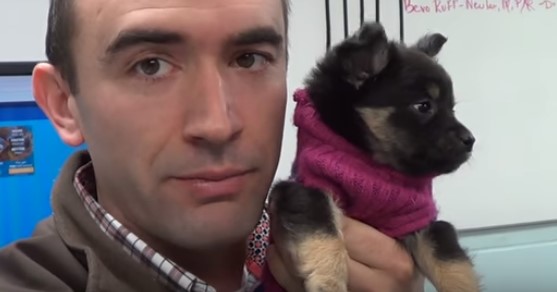 Poor Pup Who Was Found Abandoned With Broken Leg Melts The Hearts Of Everyone