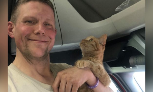 After 6 Months Of Searching, Upset Veteran Is Asking YOU For Help In Finding His Therapy Cat