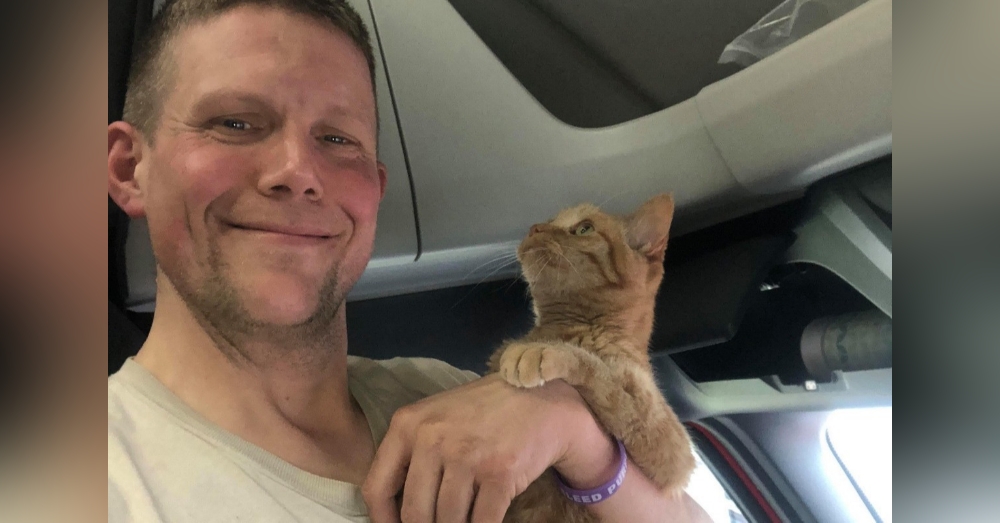 After 6 Months Of Searching, Upset Veteran Is Asking YOU For Help In Finding His Therapy Cat