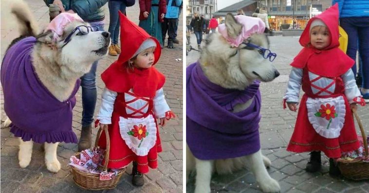 Little Red Riding Hood And Her “Big Bad Wolf” Win Cutest Costumes Ever