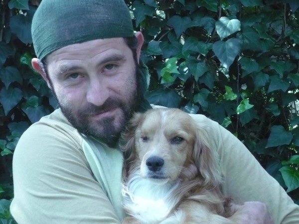 Good Samaritan Risks His Safety To Save Injured Dog Lying On Busy Freeway