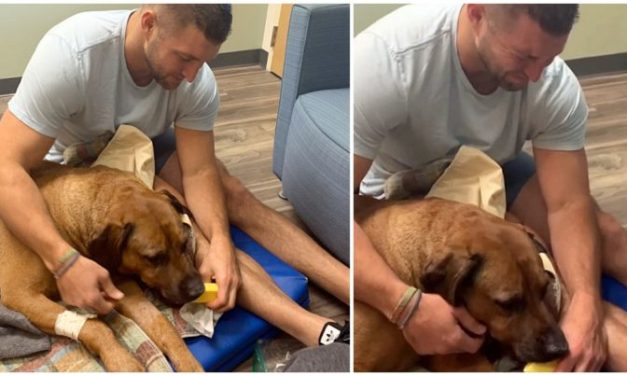 NFL Quarterback Breaks Down As He Says His Last Goodbye To His Best Friend