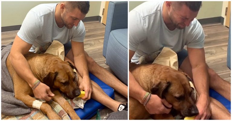NFL Quarterback Breaks Down As He Says His Last Goodbye To His Best Friend