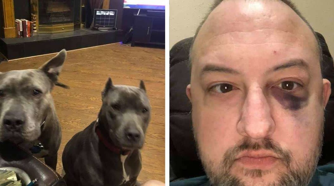 Unwanted Dogs Save Their New Dad During A Robbery