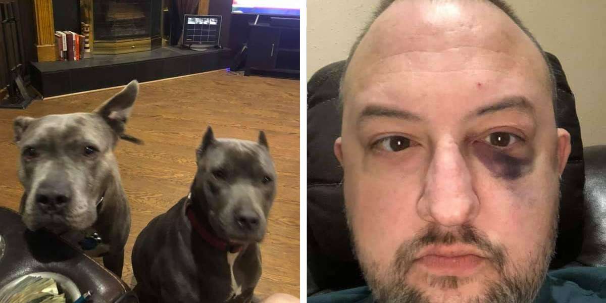 Unwanted Dogs Save Their New Dad During A Robbery