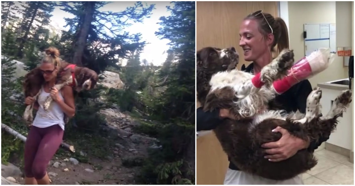 Amazing Woman Carries Injured Dog On Her Shoulders For 6 Hours To Save His Life