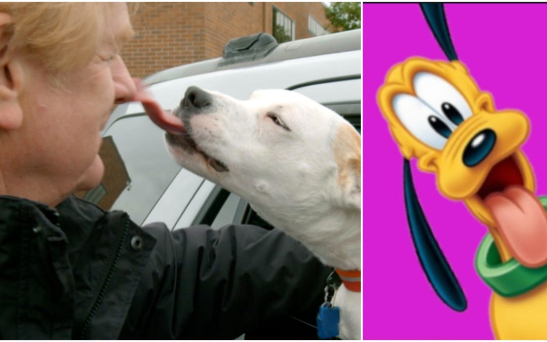 See Disney Legend And Hear The Voice of Goofy Bill Farmer In The New Trailer For ‘It’s a Dog’s Life’