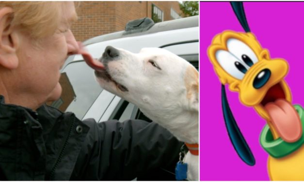 See Disney Legend And Hear The Voice of Goofy Bill Farmer In The New Trailer For ‘It’s a Dog’s Life’