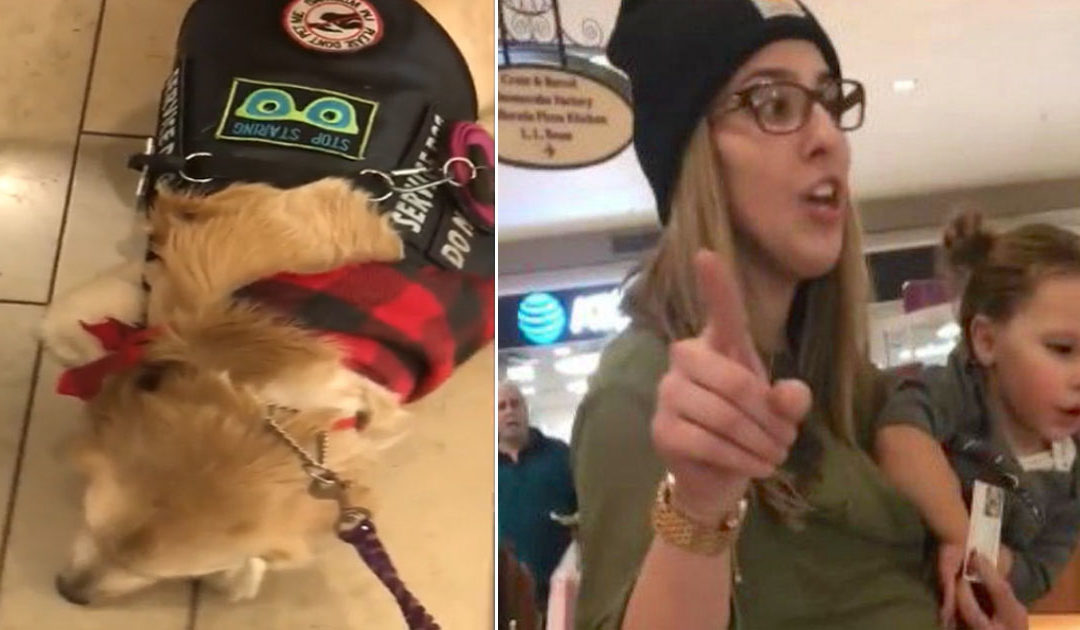 Little Girl Wants To Pet Service Dog – After Her Mom Heard No, She Called Security