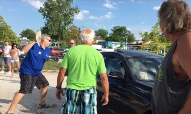 Man Throws Rock At A Car Window To Save A Puppy