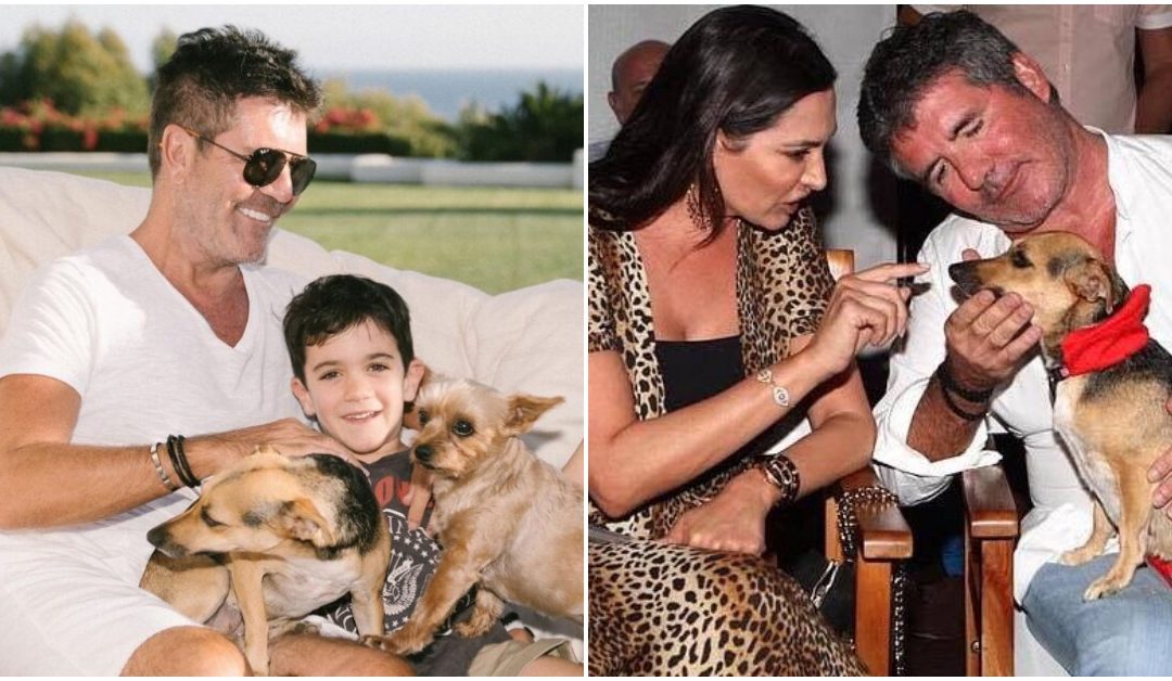 Simon Cowell Makes Generous Donation of $400,000 To Help Dogs In Need