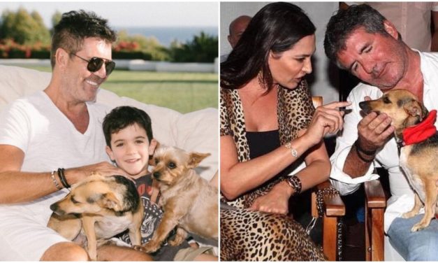 Simon Cowell Makes Generous Donation of $400,000 To Help Dogs In Need