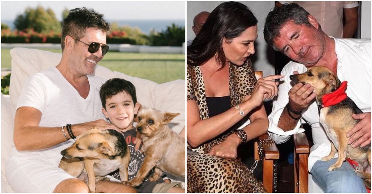 Simon Cowell Makes Generous Donation of $400,000 To Help Dogs In Need