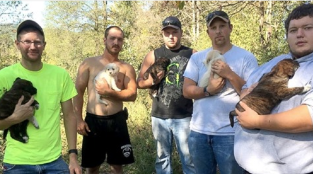 Instead of Having A Bachelor Party, A Group Decided To Save Sick Puppies They Found In The Woods