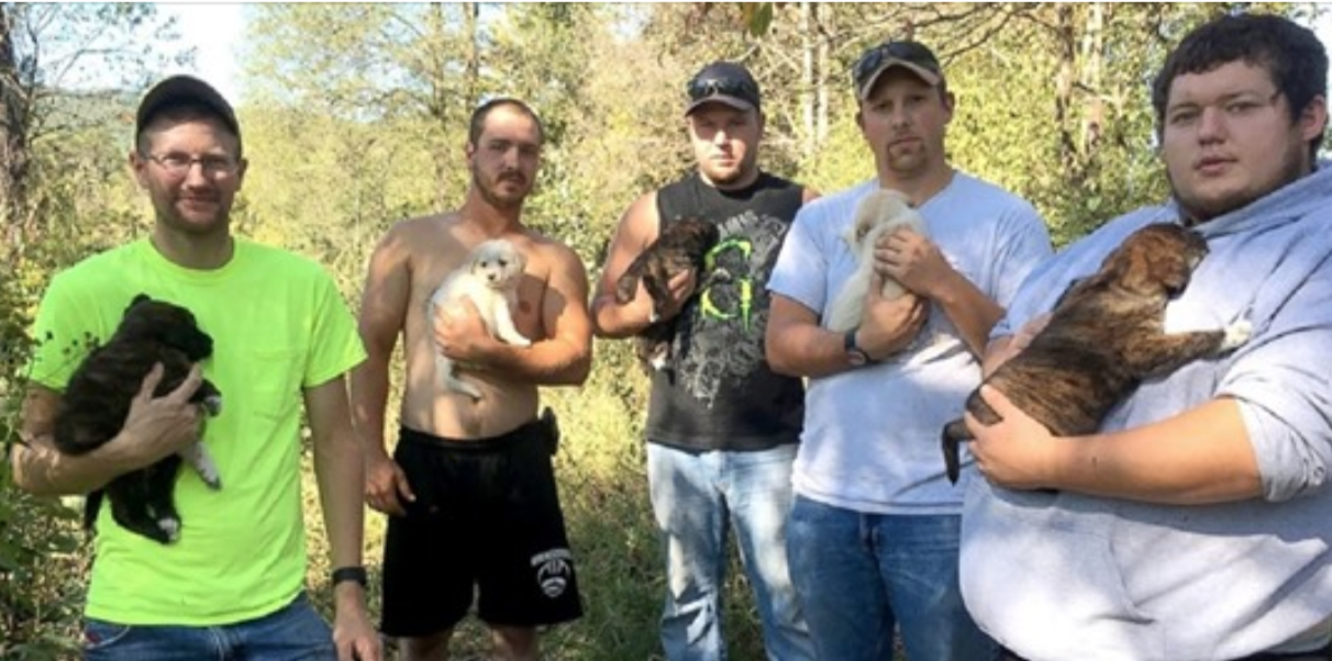 Instead of Having A Bachelor Party, A Group Decided To Save Sick Puppies They Found In The Woods
