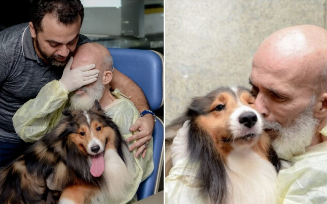 Cancer Patient’s Health Improves Significantly After His Dog Pays Him A Visit