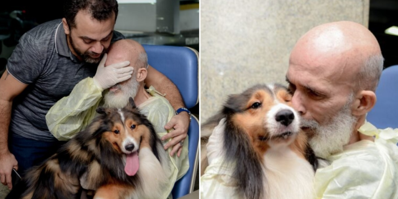 Cancer Patient’s Health Improves Significantly After His Dog Pays Him A Visit
