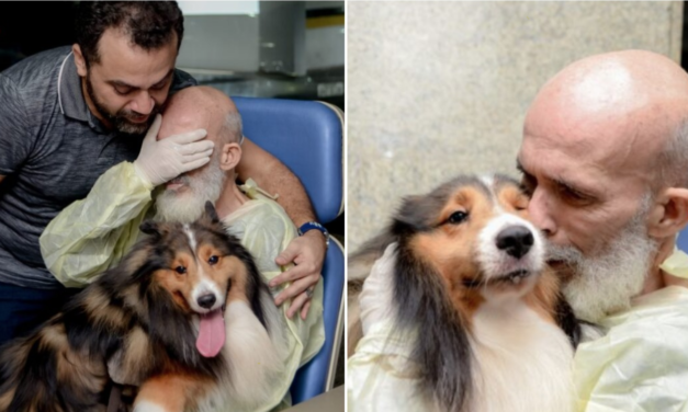 Cancer Patient’s Health Improves Significantly After His Dog Pays Him A Visit