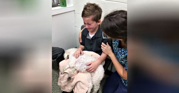 Young Boy Wanted To Hold His Dog As She Was Dying