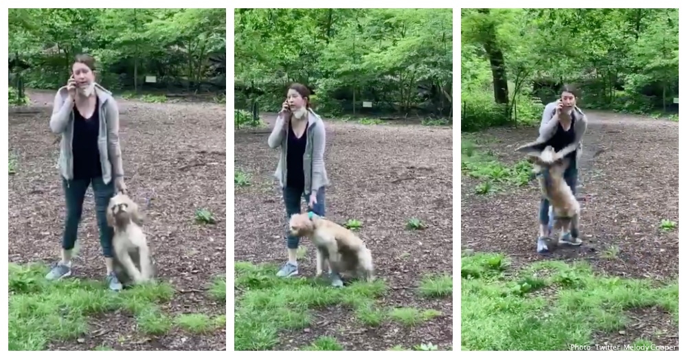 Dog Owner Was Forced To Give Up Her Pet To A Shelter After Disturbing Central Park Incident Goes Viral