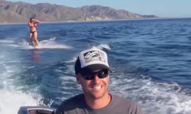 Woman Wakeboards With The Most Amazing Surprise Visitors