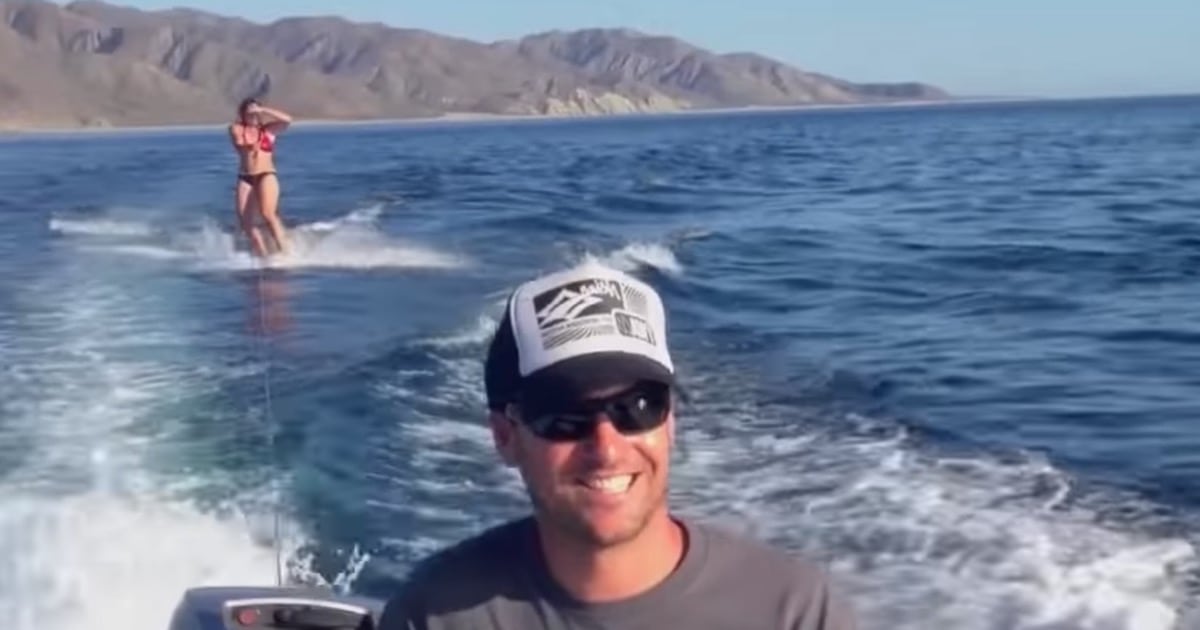 Woman Wakeboards With The Most Amazing Surprise Visitors