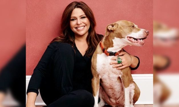 RIP Isaboo, Rachael Ray’s 15-Year-Old Rescue Pit Bull