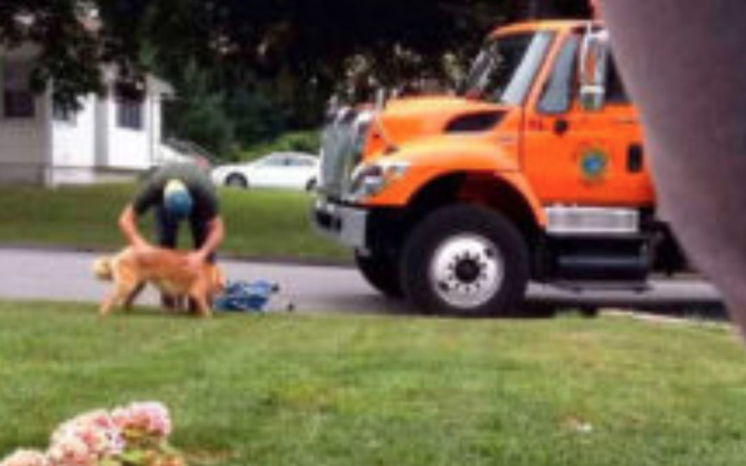 An Owner Of A Dog Secretly Films A Garbage Man Playing With His Dog