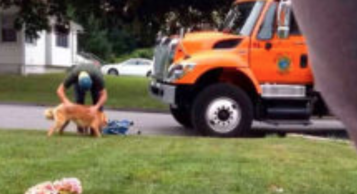 An Owner Of A Dog Secretly Films A Garbage Man Playing With His Dog