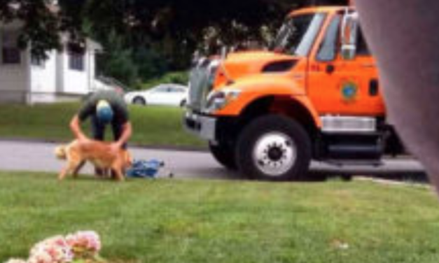 An Owner Of A Dog Secretly Films A Garbage Man Playing With His Dog