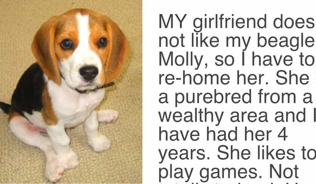 Woman Gives Her Boyfriend Ultimatum, Either She Goes Or The Dog Goes