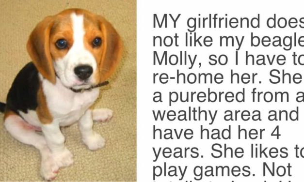 Woman Gives Her Boyfriend Ultimatum, Either She Goes Or The Dog Goes