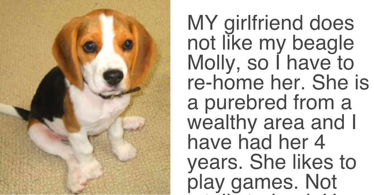 Woman Gives Her Boyfriend Ultimatum, Either She Goes Or The Dog Goes
