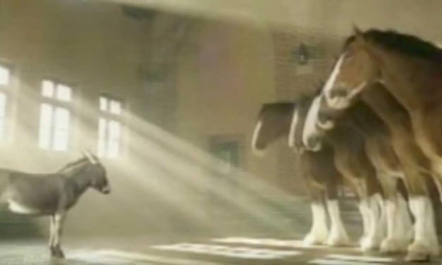 Tiny Donkey Wants To Be A Clydesdale, Explains Why In An Adorable Video