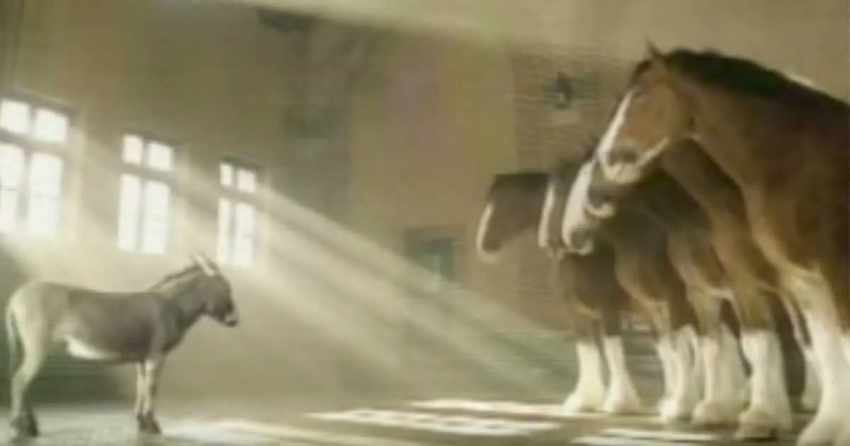 Tiny Donkey Wants To Be A Clydesdale, Explains Why In An Adorable Video