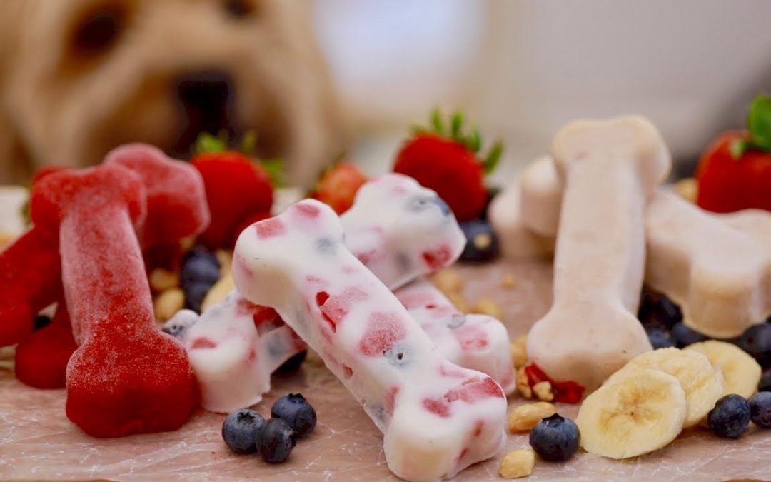 Professional Chef Shares Three Frozen Homemade Dog Treats For Summer.