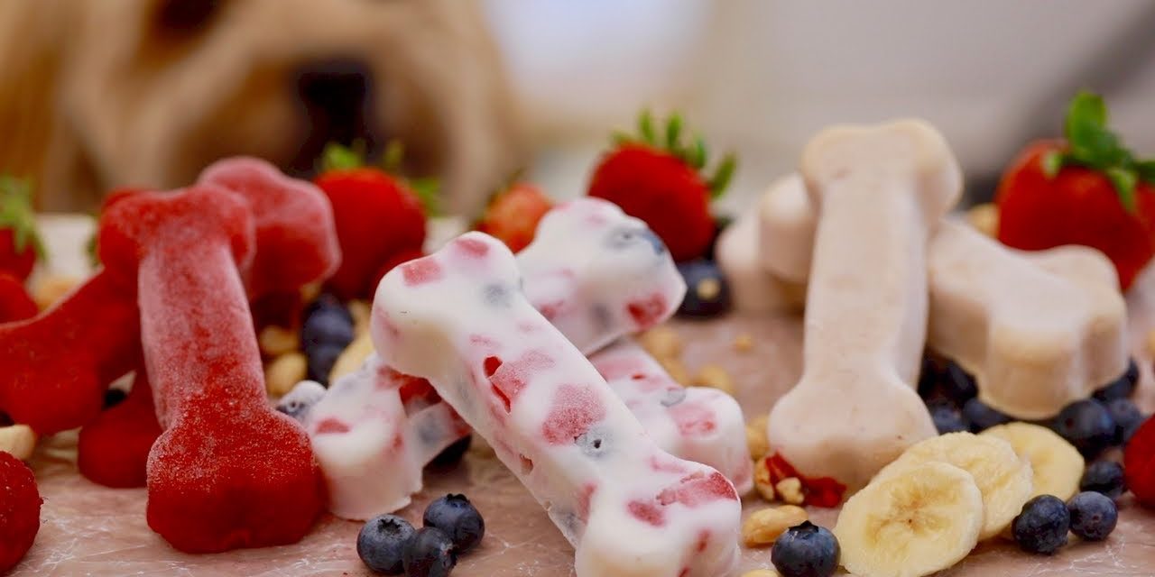 Professional Chef Shares Three Frozen Homemade Dog Treats For Summer.