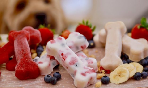 Professional Chef Shares Three Frozen Homemade Dog Treats For Summer.