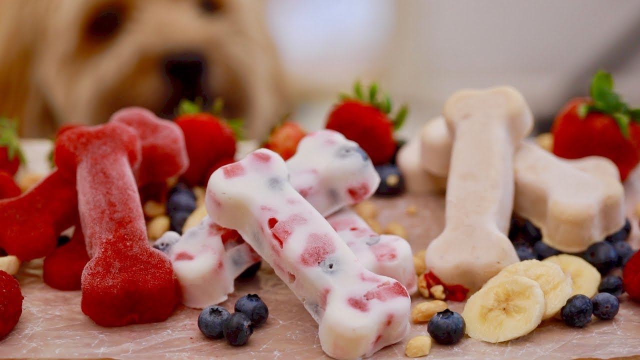Professional Chef Shares Three Frozen Homemade Dog Treats For Summer
