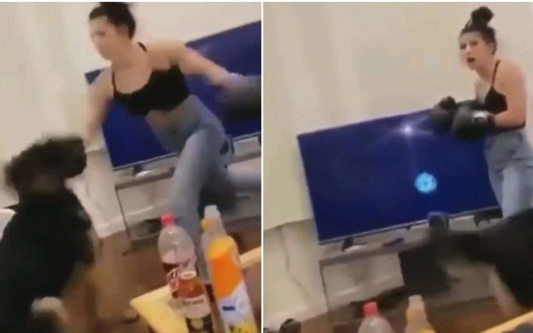 Video Of A Woman ‘Boxing’ Her Dog Leads To Animal Cruelty Investigation