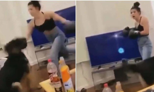 Video Of A Woman ‘Boxing’ Her Dog Leads To Animal Cruelty Investigation