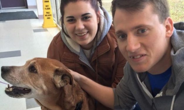 Couple Visits Shelter To Donate Supplies And Adopts The Most Adorable Senior Dog