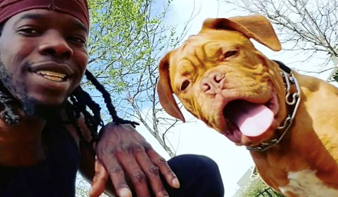 Veteran’s Service Dog Was Stolen – Now He’s Asking People to Help Him Find Her