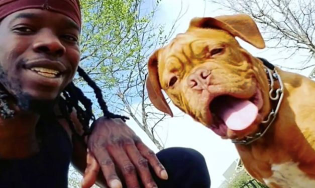 Veteran’s Service Dog Was Stolen – Now He’s Asking People to Help Him Find Her