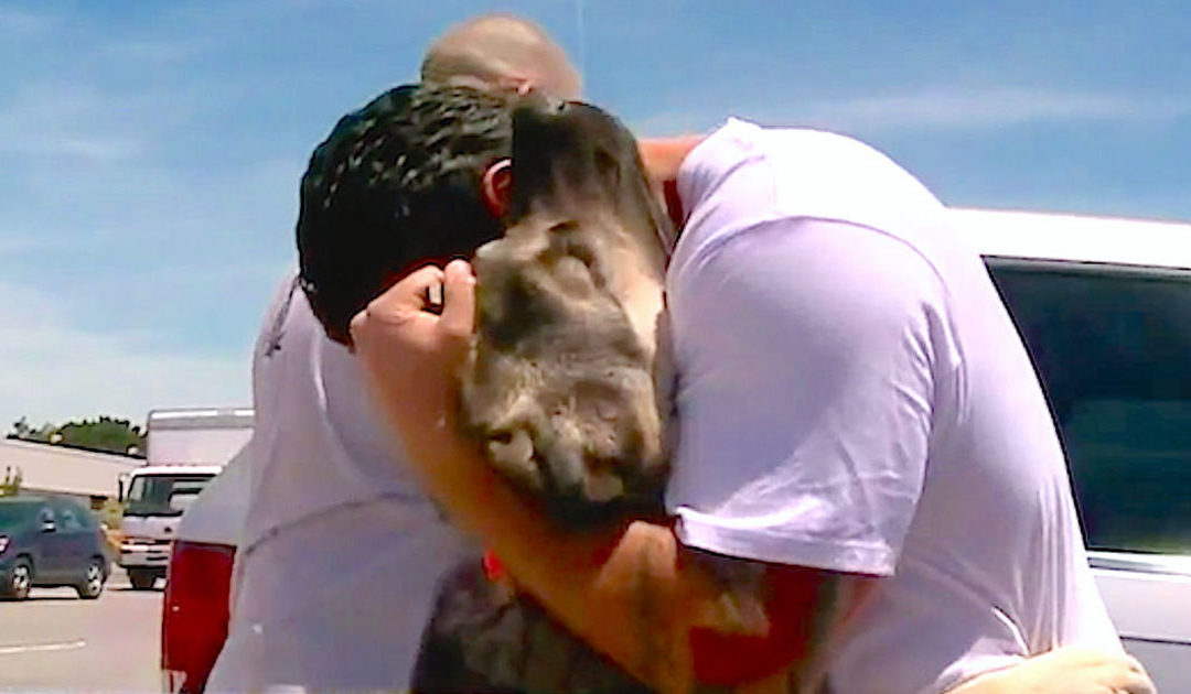Soldier who was forced to leave stray dog he rescued in Iraq reunites with him on the other side of earth