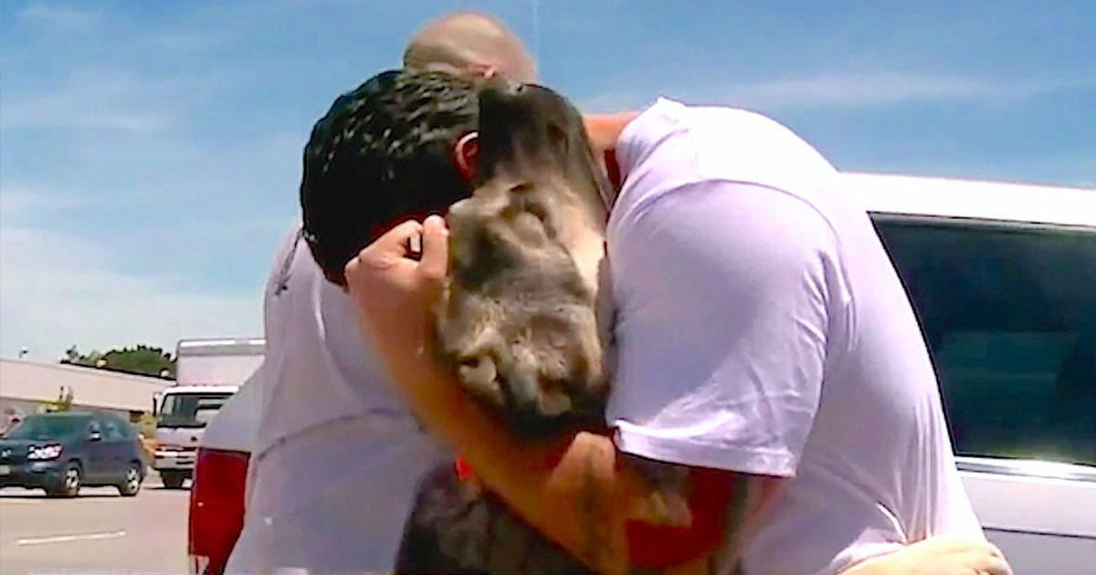 Soldier who was forced to leave stray dog he rescued in Iraq reunites with him on the other side of earth